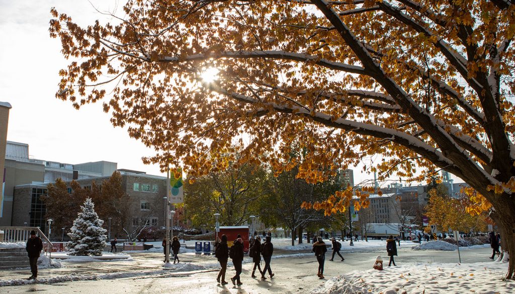 Students walk across wet sidewalks. Snow is on the ground and the sun is shining through the yellow leaves of a large tree.