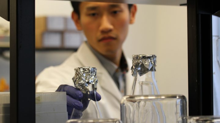 A graduate student places a piece of foil on top of a beaker.