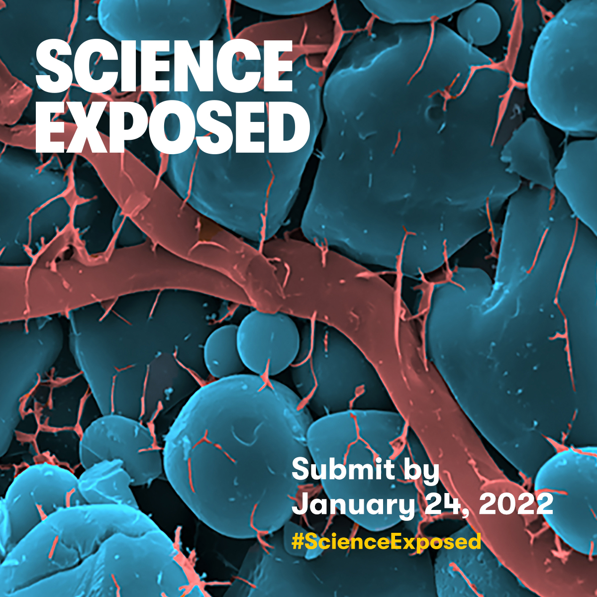 Science Exposed. Submit by January 24, 2022.