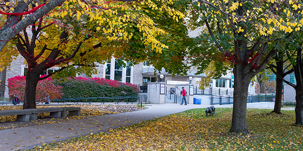 A person walks across a sidewalk lined with trees, in front of McMaster's Museum of Art