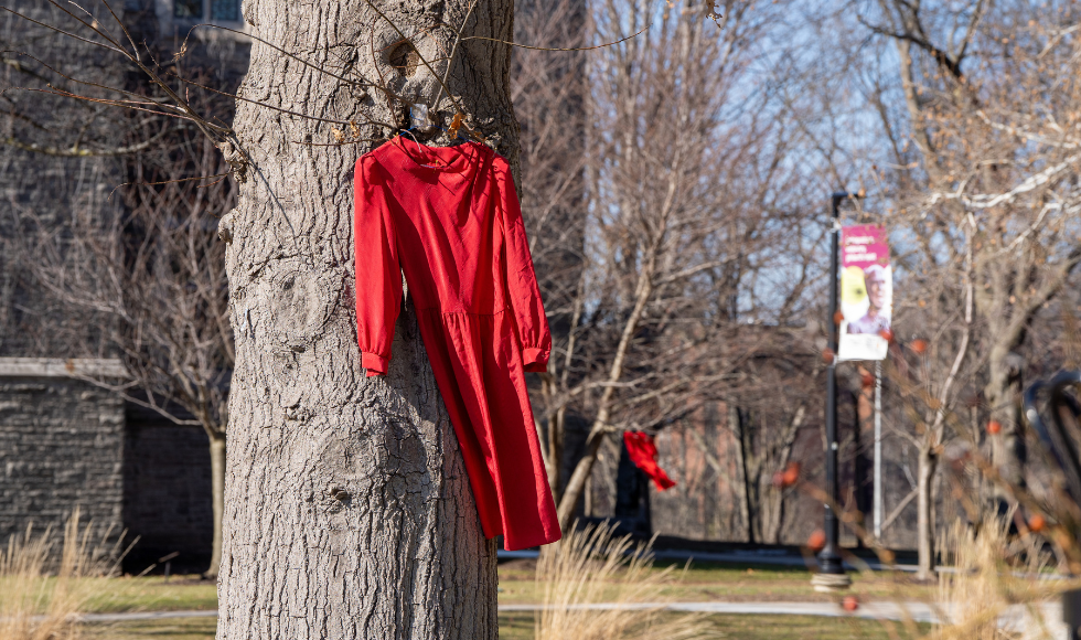 A red dress on a hanger, hangs from a tree branch on McMaster's campus.
